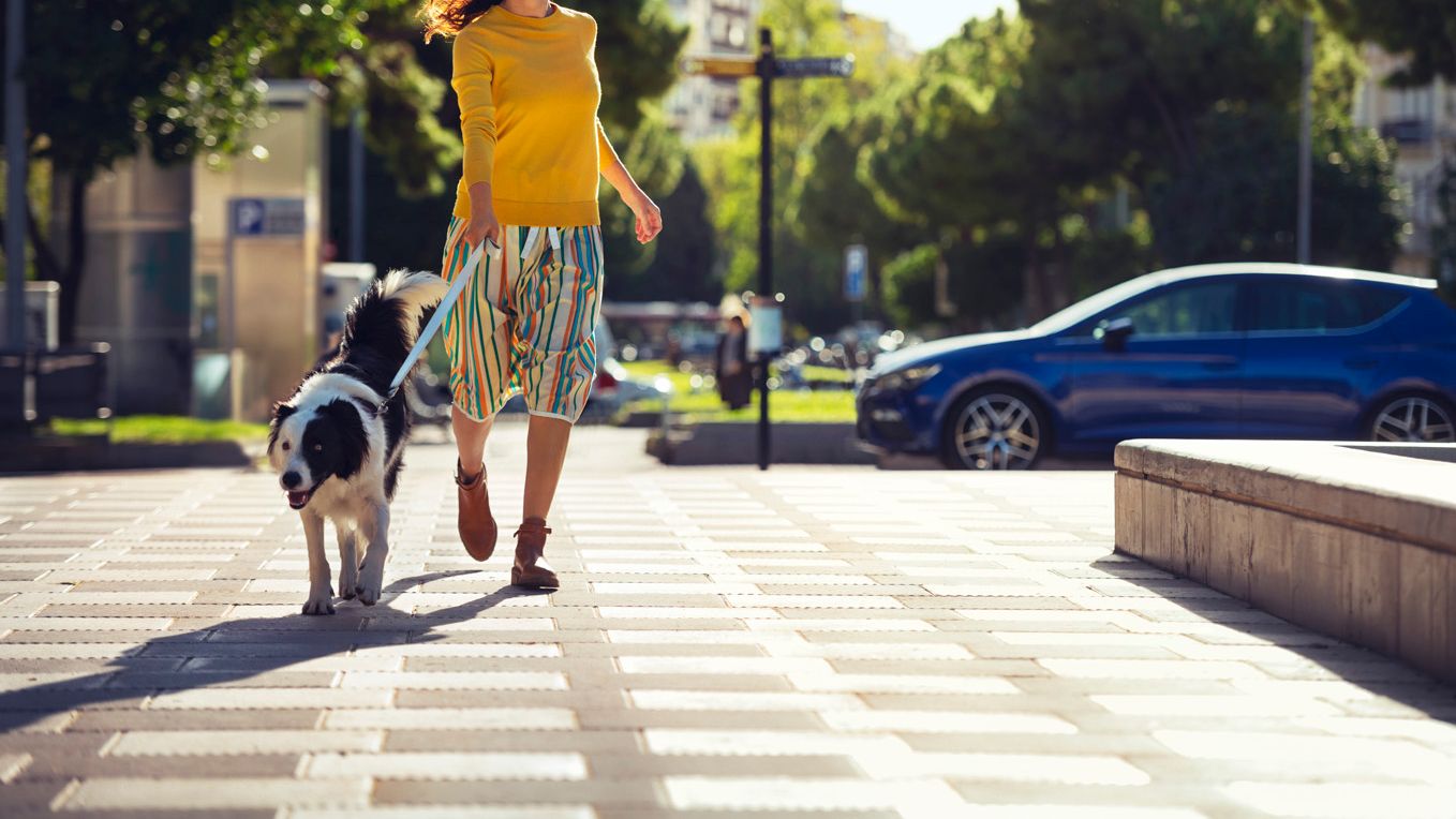 Eine Frau mit ihrem Hund beim Spazieren, ein SEAT parkt im Hintergrund