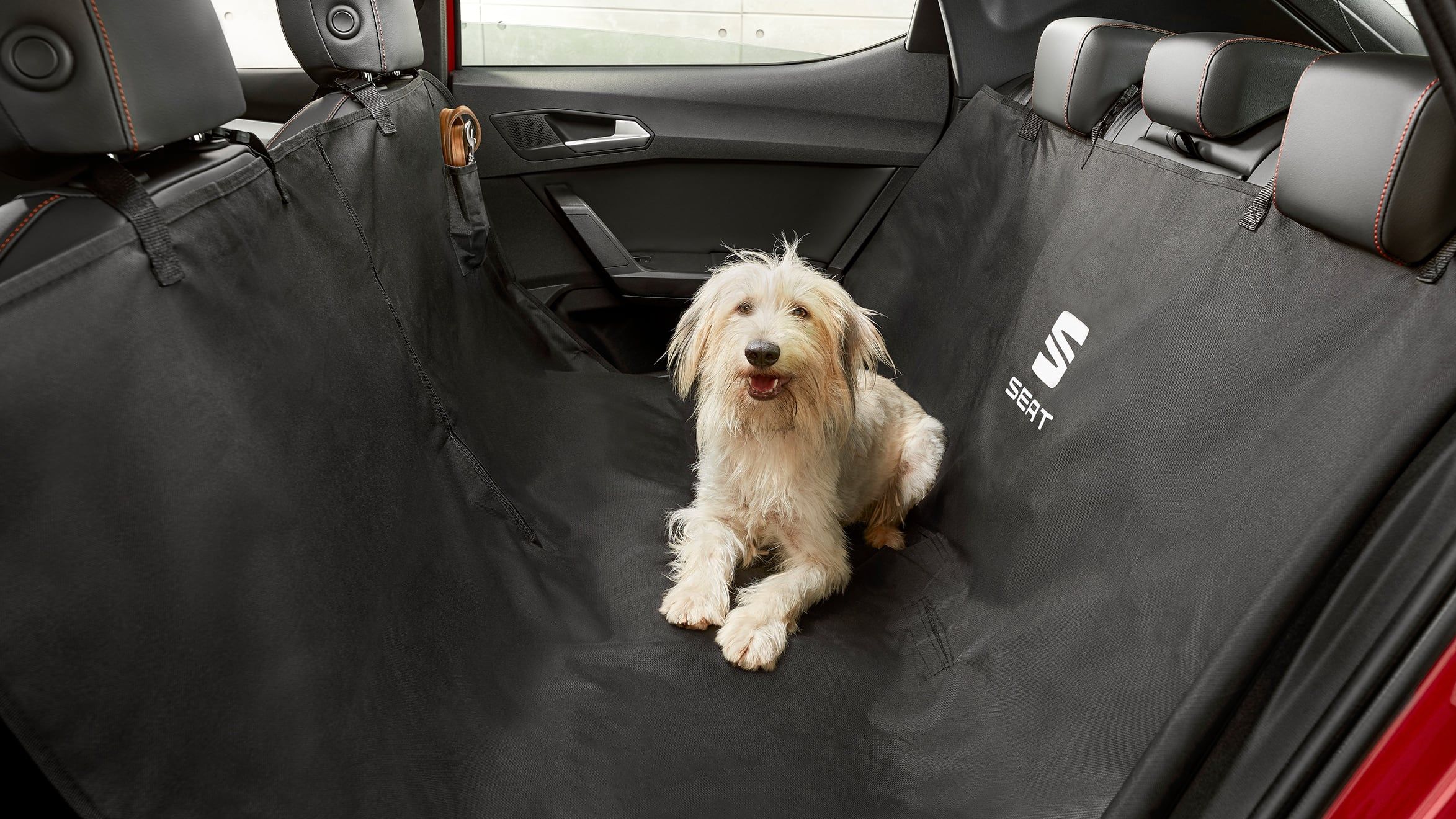 Der neue SEAT Leon mit speziellem Sitzbezug für Hunde als Zubehör
