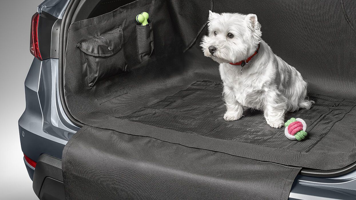Zu sehen ist ein kleiner Hund der auf einer SEAT Kofferraum­decke im Kofferraum sitzt