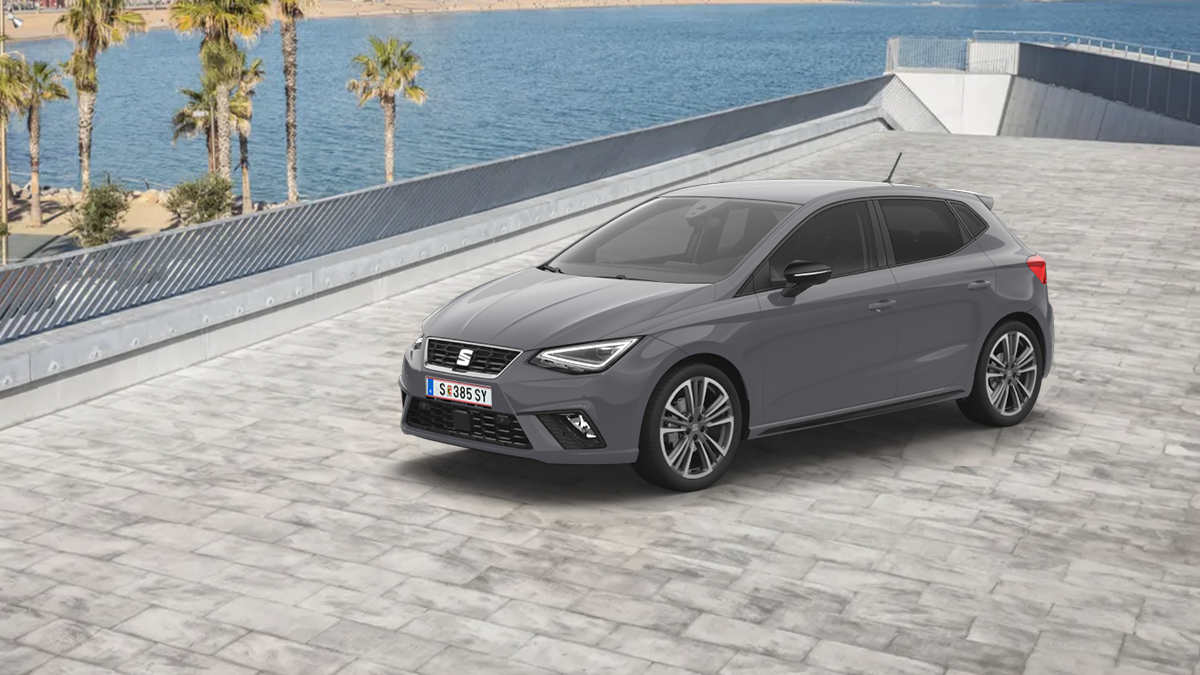 SEAT Ibiza FR Modelle in Hellgrau stehen aus schräger Perspektive im Vordergrund, während im Hintergrund ein Hafen zu erkennen ist