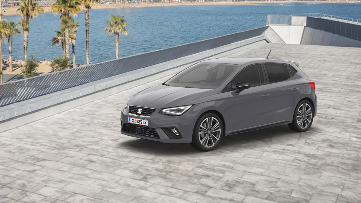 SEAT Ibiza FR Modelle in Hellgrau stehen aus schräger Perspektive im Vordergrund, während im Hintergrund ein Hafen zu erkennen ist