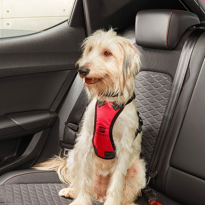 SEAT Autozubehör Hunde Geschirr