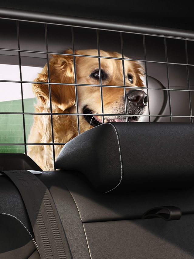 Hund sitzt in SEAT Kofferraum mit Trenngitter