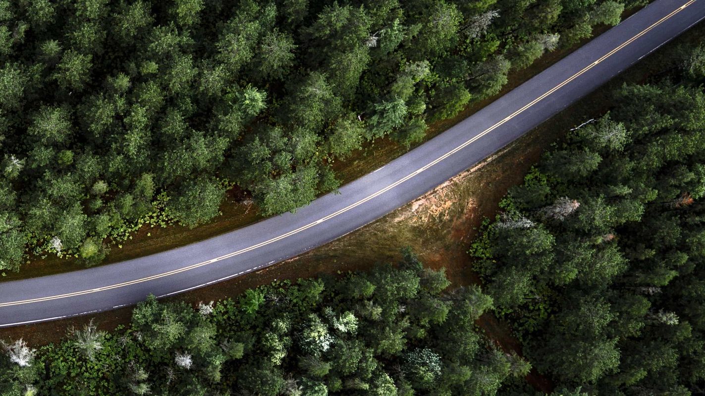 Eine Straße umgeben von Wald aus der Vogelperspektive
